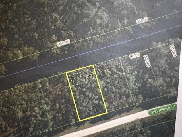 1123 Greenfield Street, Lake Placid, FL 33852