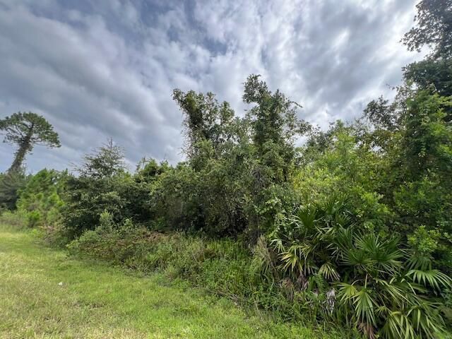 1123 Greenfield Street, Lake Placid, FL 33852