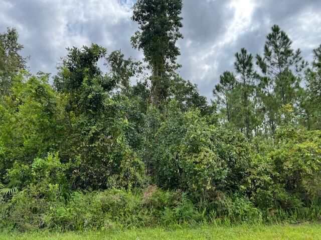 1123 Greenfield Street, Lake Placid, FL 33852