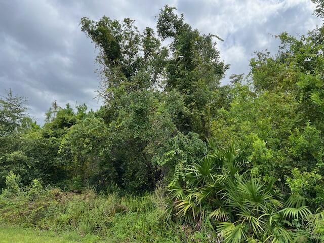 1123 Greenfield Street, Lake Placid, FL 33852