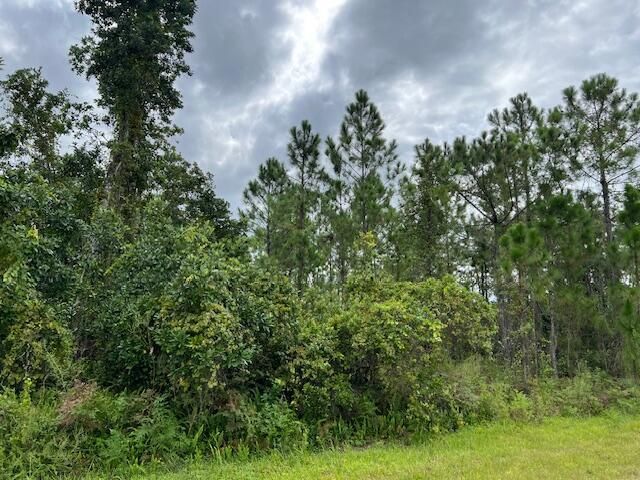 1123 Greenfield Street, Lake Placid, FL 33852