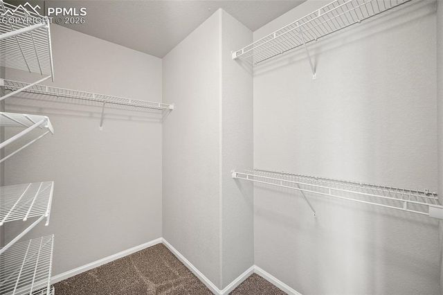 1905 Abbington Street, Colorado Springs, CO 80910