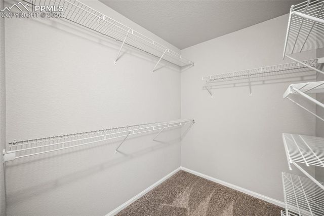 1905 Abbington Street, Colorado Springs, CO 80910