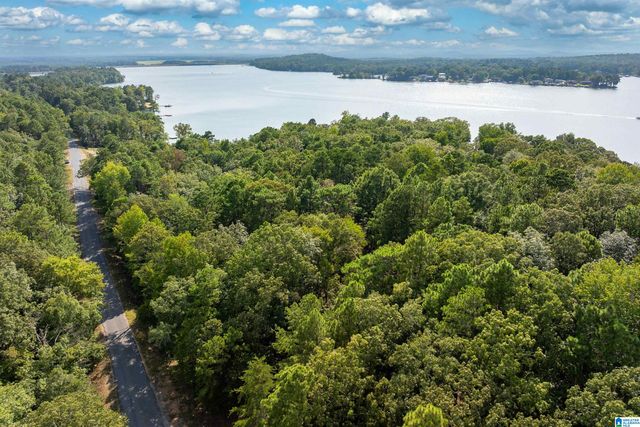 Lot 4 CONSTELLATION DRIVE, Alpine, AL 35014