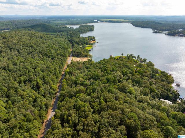 Lot 4 CONSTELLATION DRIVE, Alpine, AL 35014