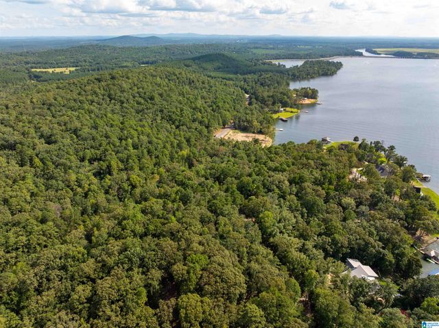 Lot 4 CONSTELLATION DRIVE, Alpine, AL 35014