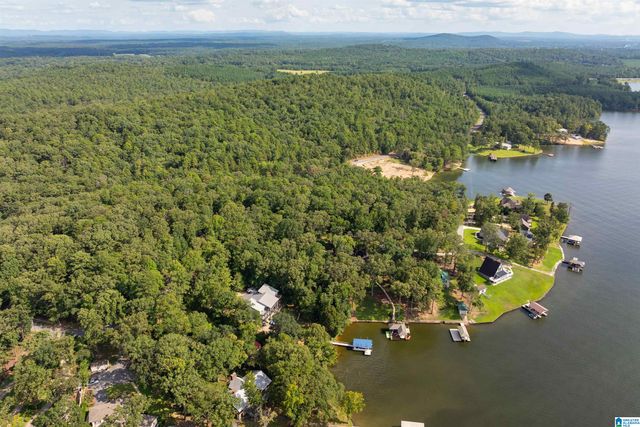 Lot 4 CONSTELLATION DRIVE, Alpine, AL 35014