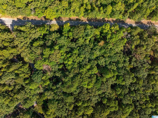 Lot 4 CONSTELLATION DRIVE, Alpine, AL 35014