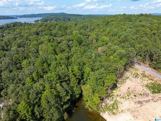 Lot 4 CONSTELLATION DRIVE, Alpine, AL 35014