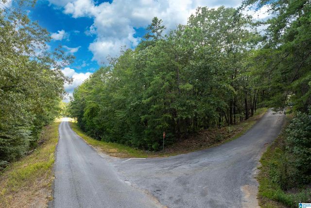 Lot 4 CONSTELLATION DRIVE, Alpine, AL 35014