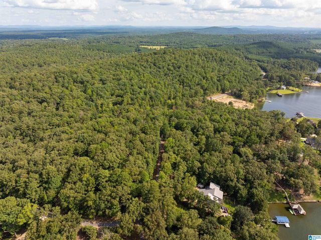 Lot 4 CONSTELLATION DRIVE, Alpine, AL 35014