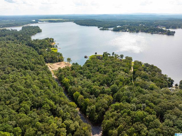 Lot 4 CONSTELLATION DRIVE, Alpine, AL 35014