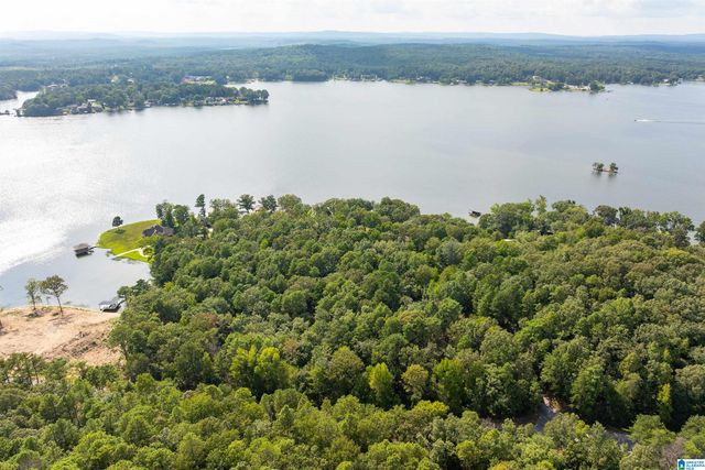 Lot 4 CONSTELLATION DRIVE, Alpine, AL 35014