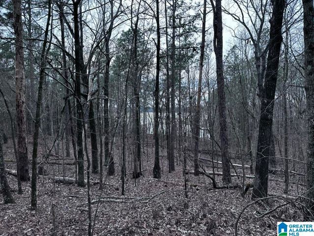 Lot 4 CONSTELLATION DRIVE, Alpine, AL 35014