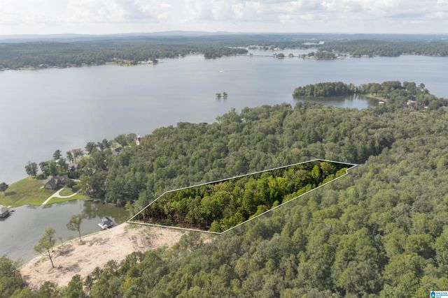 Lot 4 CONSTELLATION DRIVE, Alpine, AL 35014