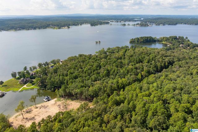 Lot 4 CONSTELLATION DRIVE, Alpine, AL 35014