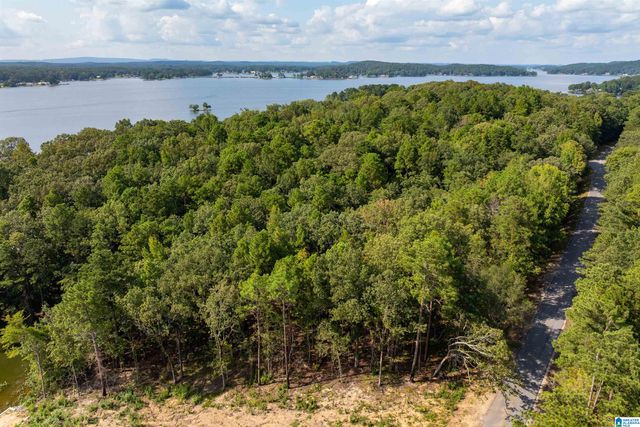 Lot 4 CONSTELLATION DRIVE, Alpine, AL 35014