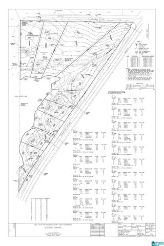 Lot 4 CONSTELLATION DRIVE, Alpine, AL 35014