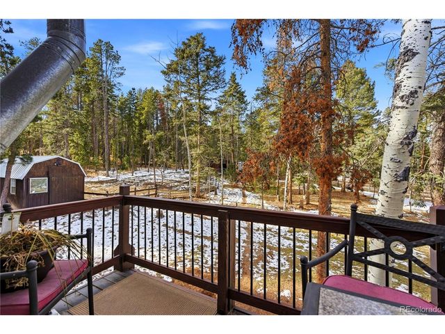 28456 Squirrel Ln, Conifer, CO 80433