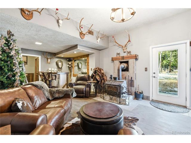 28456 Squirrel Ln, Conifer, CO 80433