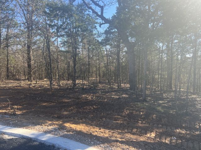 LOT 35 Reflection Bay Boulevard, Gordonville, TX 76245