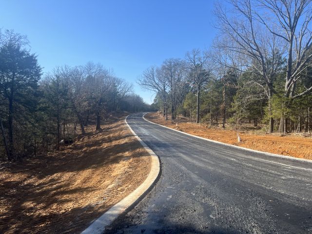 LOT 35 Reflection Bay Boulevard, Gordonville, TX 76245