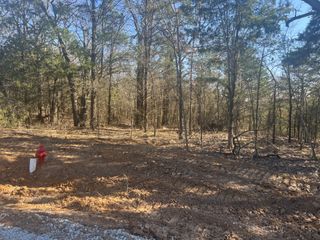 LOT 35 Reflection Bay Boulevard, Gordonville, TX 76245