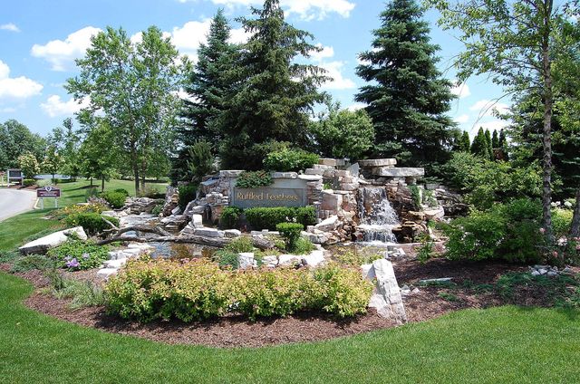 115 Ruffled Feathers Drive, Lemont, IL 60439