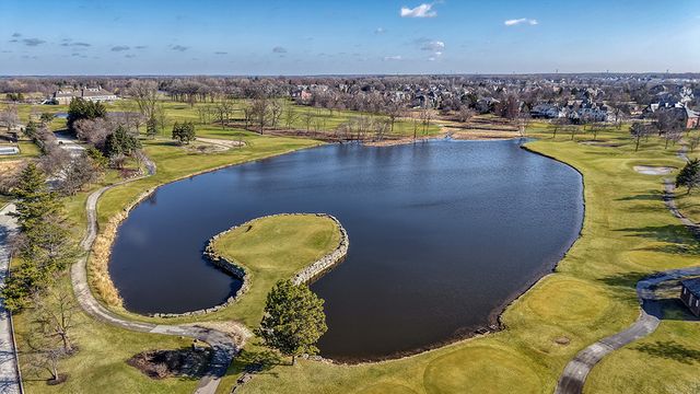 115 Ruffled Feathers Drive, Lemont, IL 60439