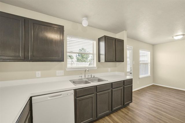 19630 Buckland Park Drive, Katy, TX 77449