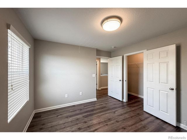 1670 Sorenson Drive, Windsor, CO 80550