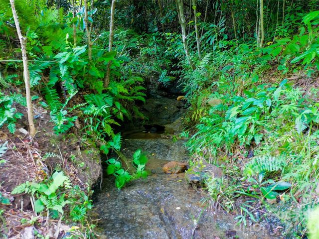 Lot 32 Freedom Trail Court 32, Zirconia, NC 28790