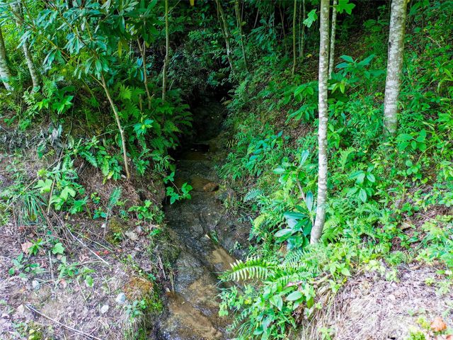 Lot 32 Freedom Trail Court 32, Zirconia, NC 28790