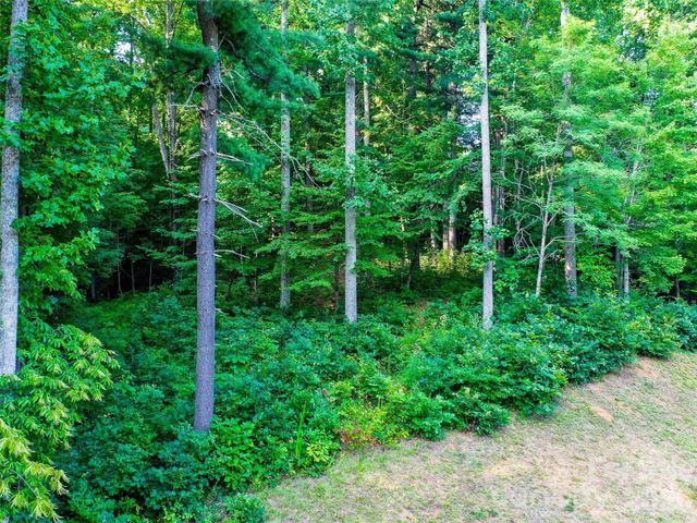 Lot 32 Freedom Trail Court 32, Zirconia, NC 28790