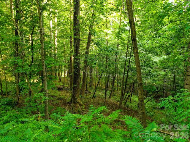Lot 32 Freedom Trail Court 32, Zirconia, NC 28790