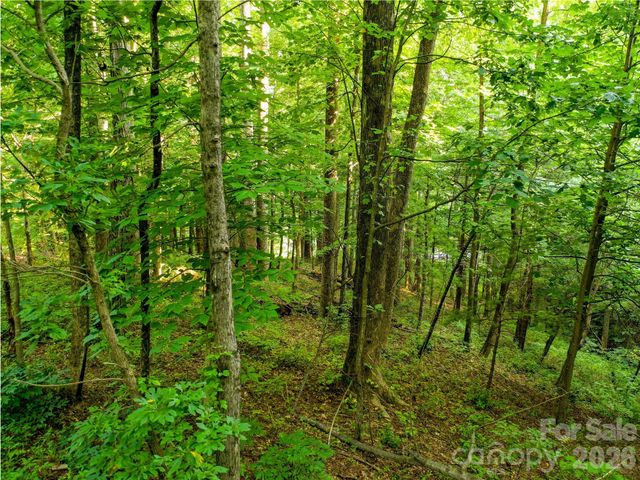 Lot 32 Freedom Trail Court 32, Zirconia, NC 28790