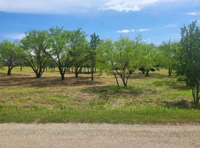 234 Canyon Lake Road, Gordon, TX 76453