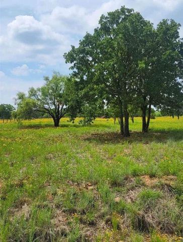 234 Canyon Lake Road, Gordon, TX 76453