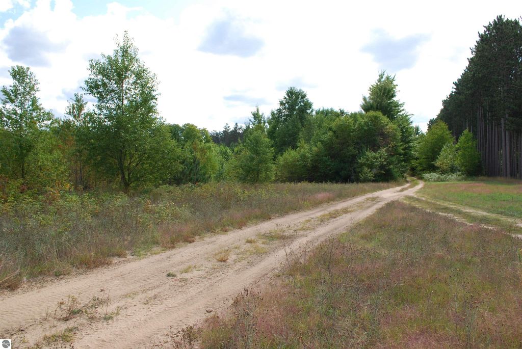 Sandy access road leading through partially wooded land on Little Lane, Kalkaska, MI, showcasing 1.68-acre buildable site with natural surroundings.