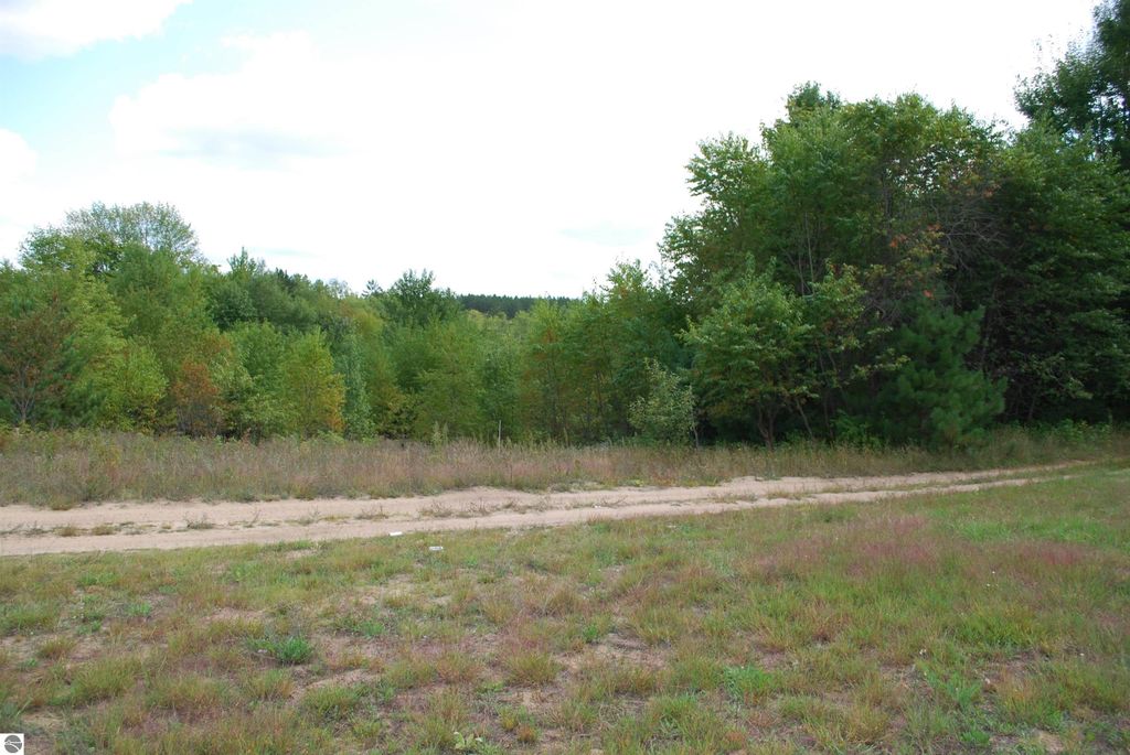 1.68-acre wooded parcel on Little Lane, Kalkaska, MI, featuring sandy soils, grassy terrain, and a sloping buildable site ideal for a walkout.