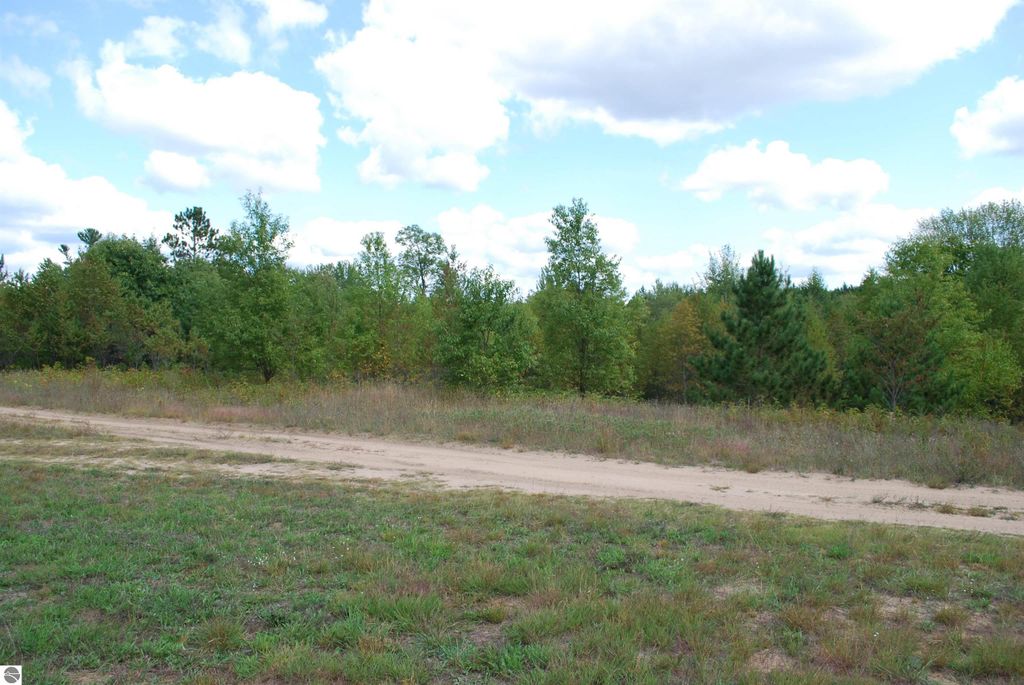 1.68-acre wooded parcel on Little Lane, Kalkaska, MI, featuring sandy soils, grassy terrain, and a dirt access road under a partly cloudy sky.