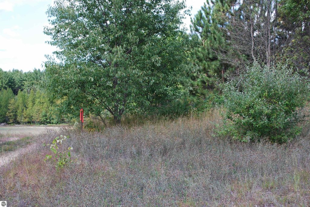 1.68-acre wooded parcel on Little Lane, featuring a sloping buildable site with sandy soils and vegetation, ideal for a walkout home.