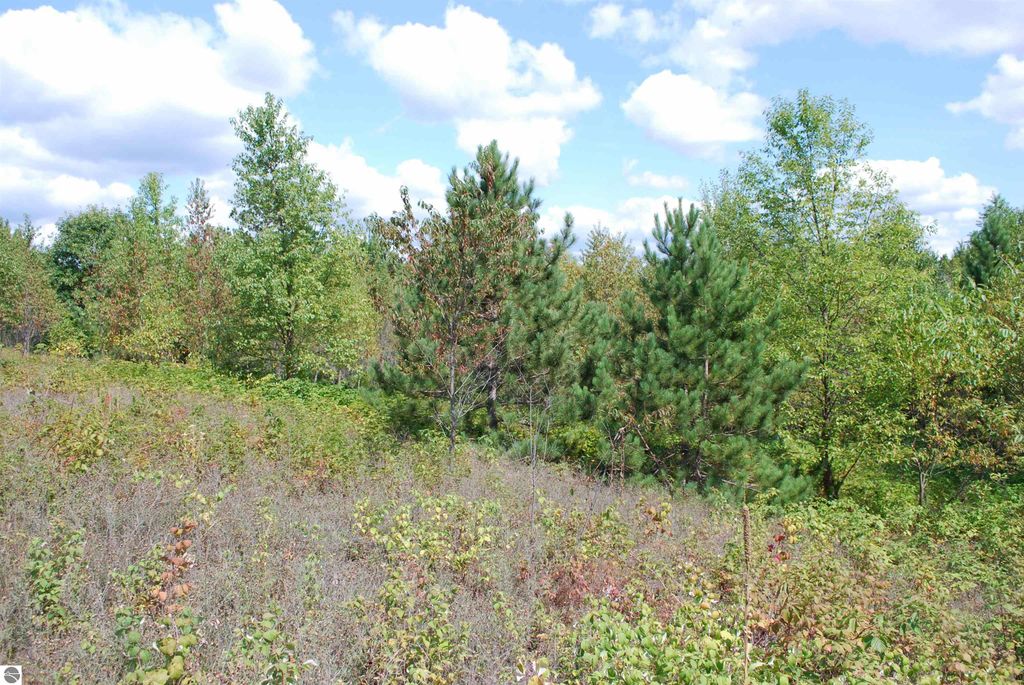 1.68-acre wooded parcel on Little Lane, Kalkaska, MI, featuring sloping terrain and sandy soils, ideal for building.