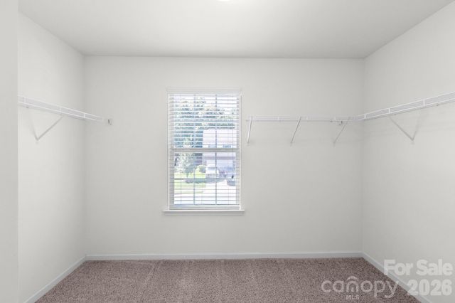 4921 William Caldwell Avenue, Charlotte, NC 28213