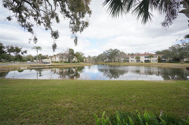 10330 CARROLLWOOD LANE 94, Tampa, FL 33618