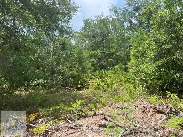 6.2 acre Tibet Highway SE, Ludowici, GA 31319