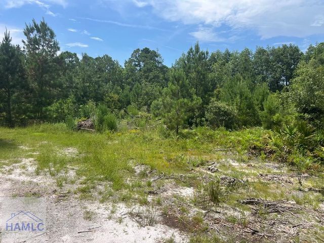 6.2 acre Tibet Highway SE, Ludowici, GA 31319