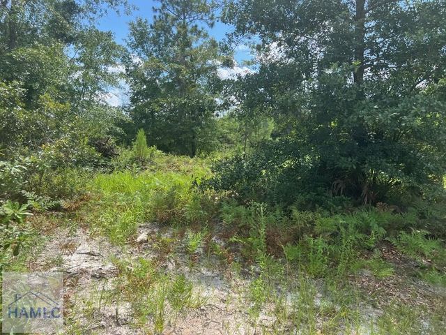 6.2 acre Tibet Highway SE, Ludowici, GA 31319