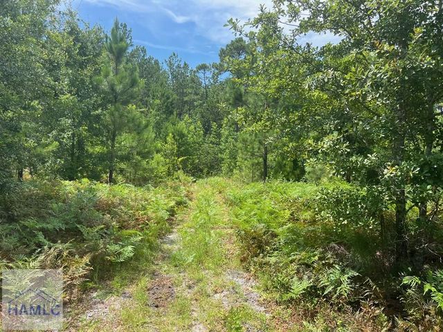 6.2 acre Tibet Highway SE, Ludowici, GA 31319