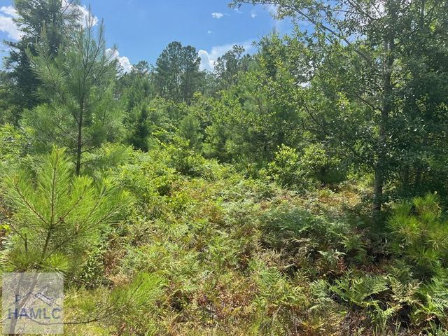 6.2 acre Tibet Highway SE, Ludowici, GA 31319